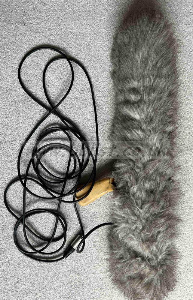 Sennheiser MKH816 P48 with Rycote windshield
