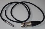 Micron TL20CF-6 line-level input cable for Explorer Series